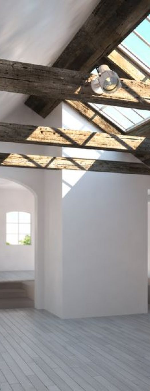 20163769 - empty room with rustic timber ceiling and skylights   3d model scene